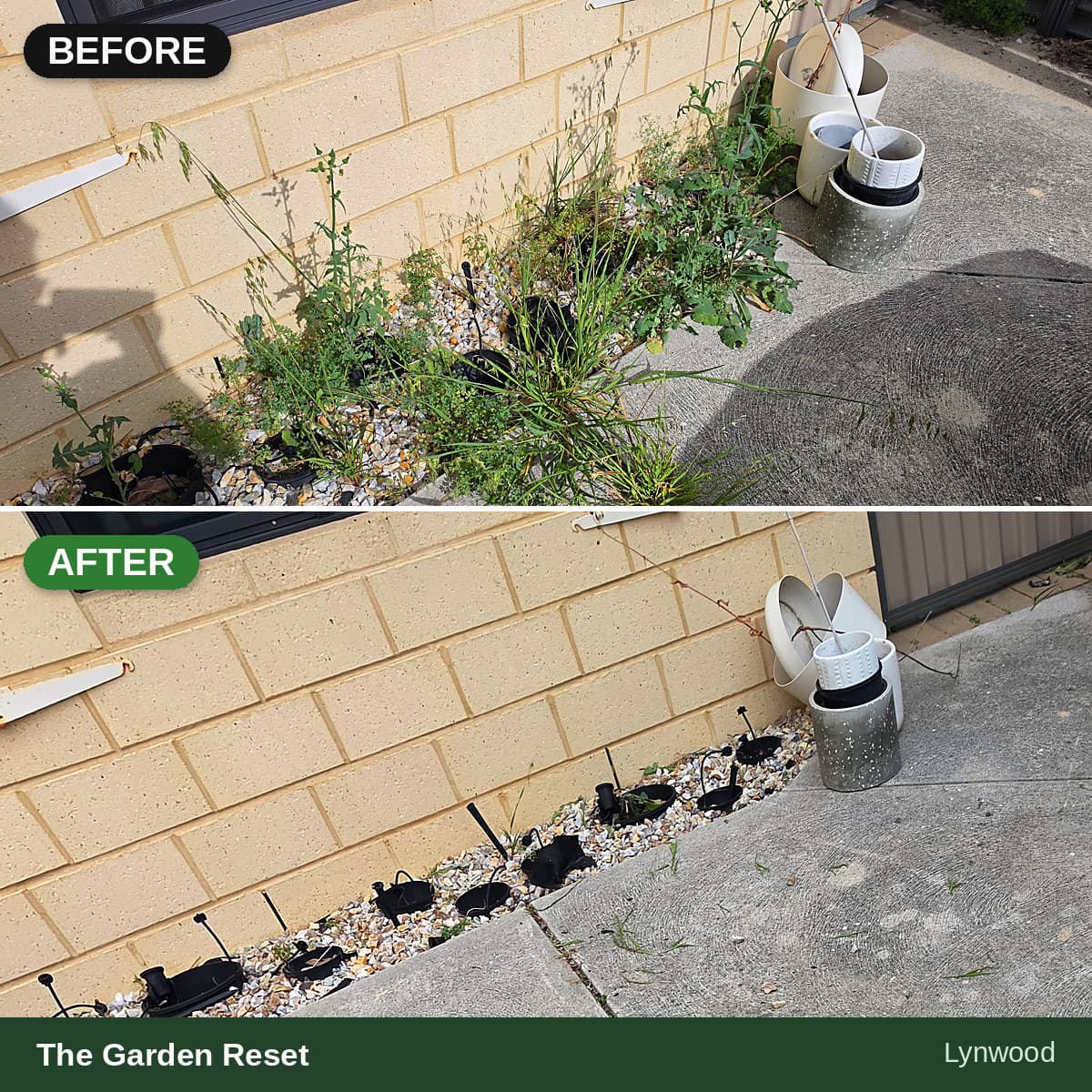 Before and after comparison of a garden bed cleared of overgrown weeds, revealing white pebbles.