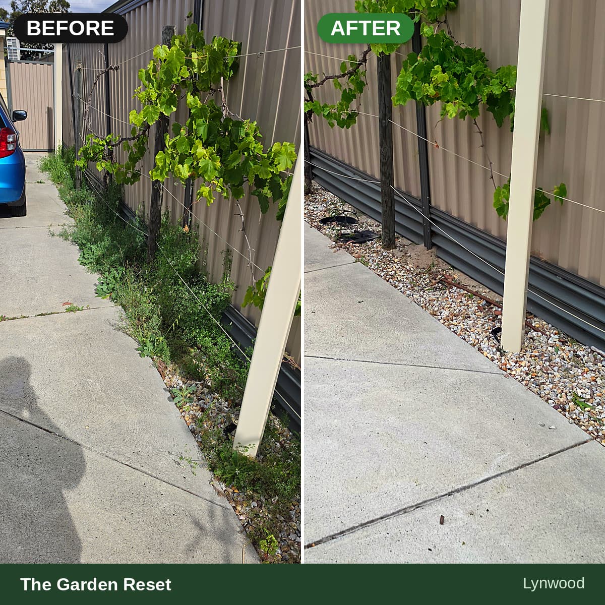 Before and after photos showing a fence line cleared of weeds and replaced with gravel.