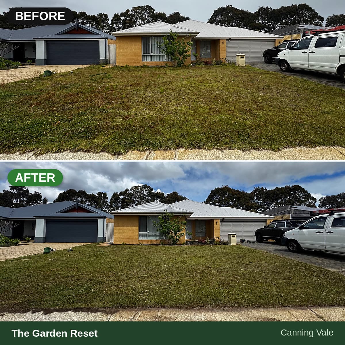 Before and after comparison of a patchy front lawn restored to a neat, uniform appearance.