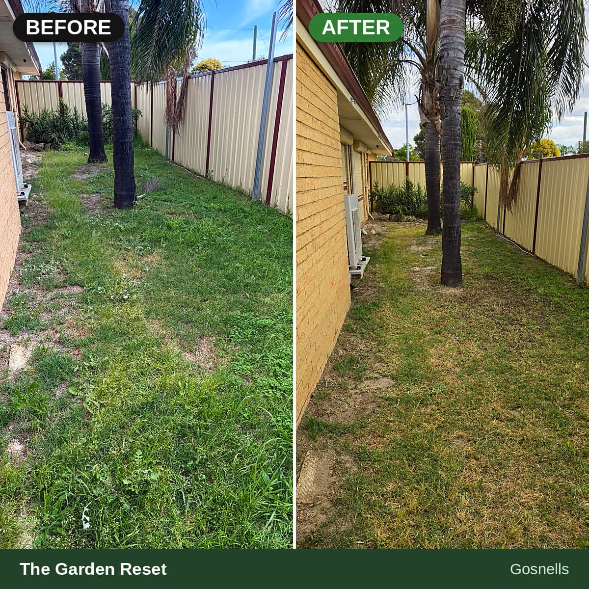 Before and after comparison of a narrow side yard showing overgrown weeds cleared and mowed.