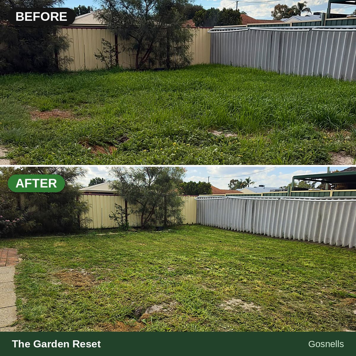 Before and after comparison showing an overgrown backyard transformed into a neatly mowed lawn.